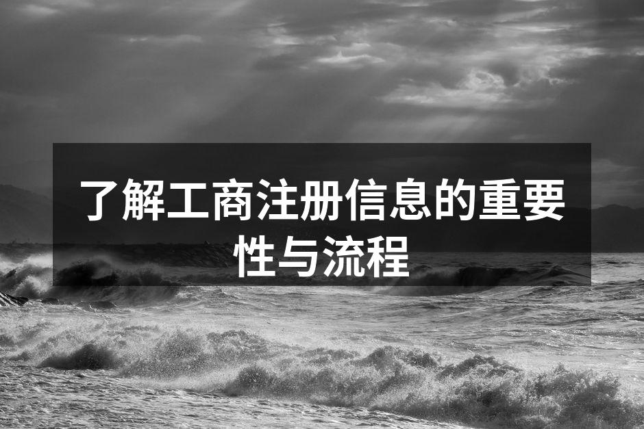 了解工商注册信息的重要性与流程