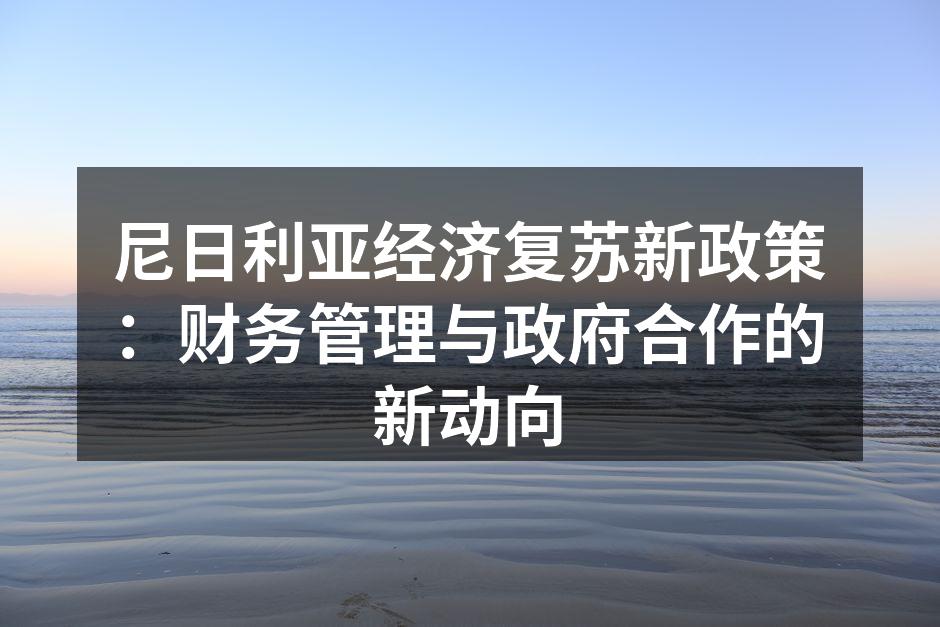 尼日利亚经济复苏新政策：财务管理与政府合作的新动向