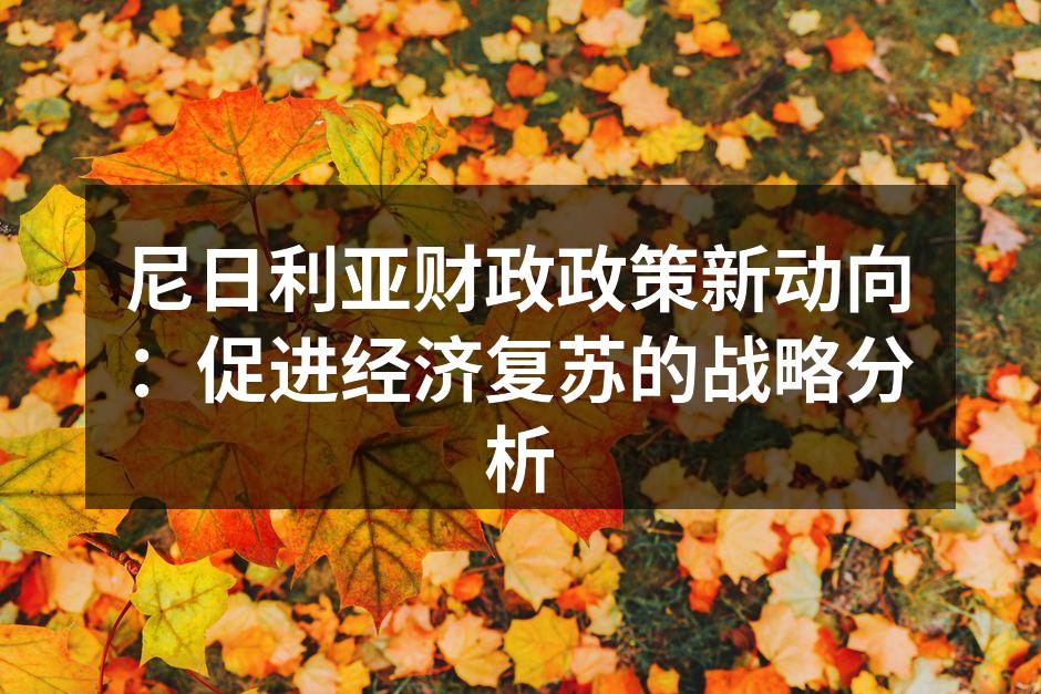 尼日利亚财政政策新动向：促进经济复苏的战略分析