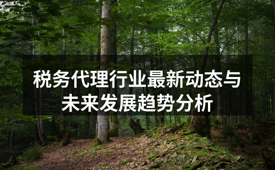 税务代理行业最新动态与未来发展趋势分析