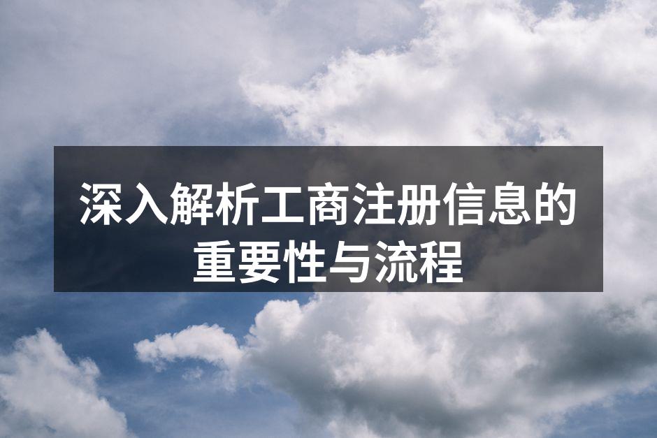 深入解析工商注册信息的重要性与流程