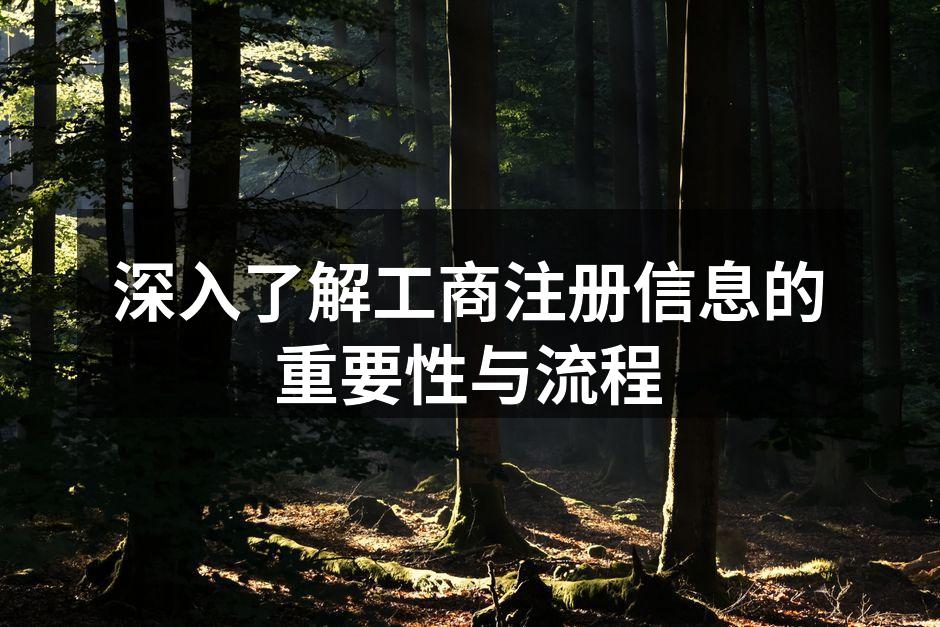 深入了解工商注册信息的重要性与流程