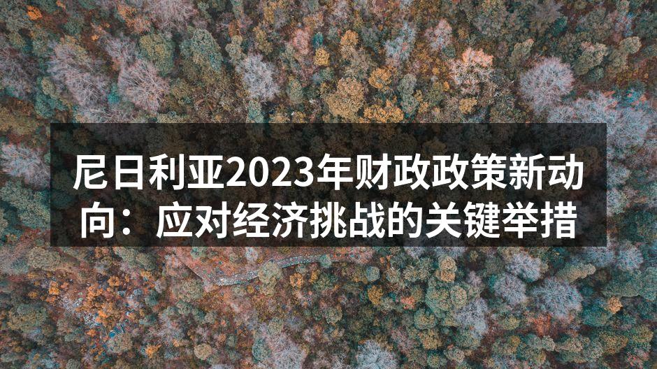 尼日利亚财政政策会议现场