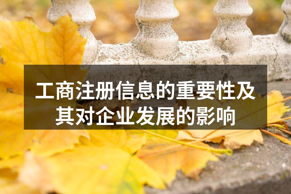 工商注册信息的重要性及其对企业发展的影响